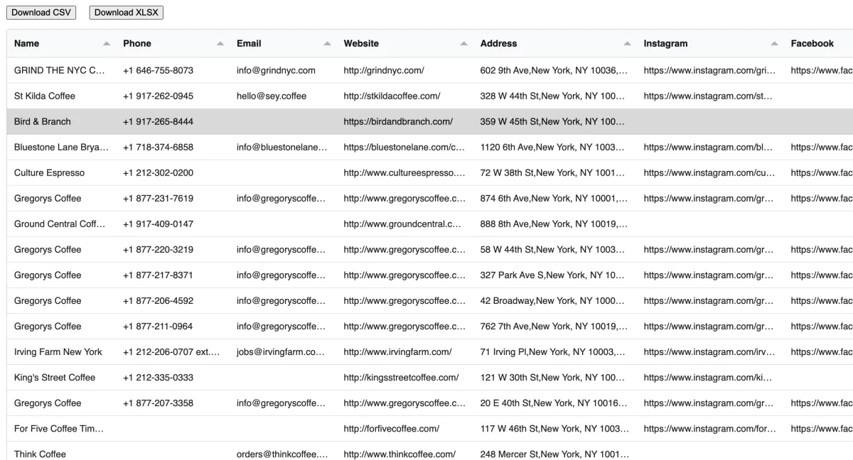 Exported leads table with business name, phone, email, website, address, Instagram and Facebook columns, plus Download CSV and Download XLSX buttons